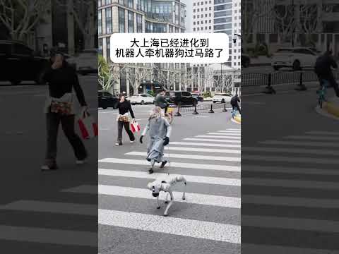 【大上海已经进化到机器人牵机器狗过马路了】溜了个寂寞，没有狗，也没有活人 #机器人#robot thumbnail