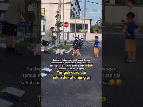 Akhirnya mereka sudah menjadi kawan.?? thumbnail