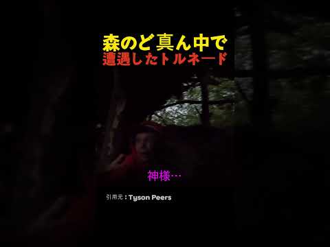 森のど真ん中で遭遇したトルネード thumbnail