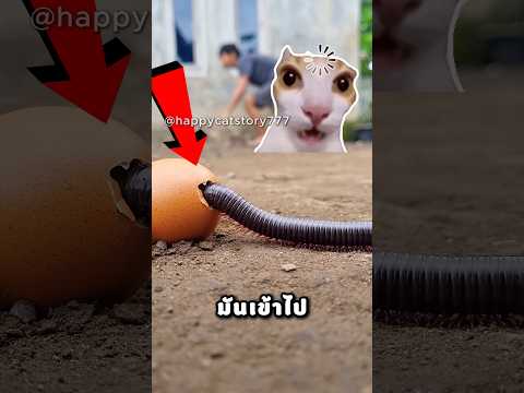 พี่ มาจับกิ้งกือเร็ว thumbnail