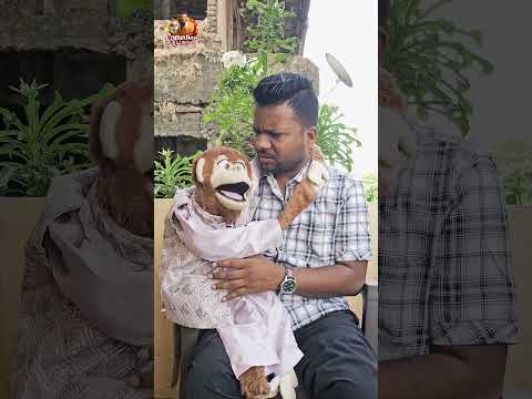Modi ji ne kaha hai? #ventriloquism #monkey #romeo #comedy #shortvideo thumbnail
