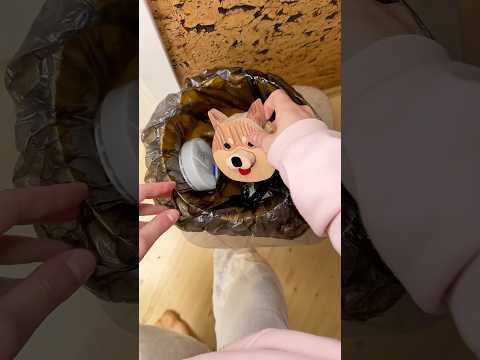 Who throwed away dog doorbell? 😭 thumbnail