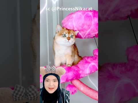 mau teman baru‼️PrincessNikacat thumbnail