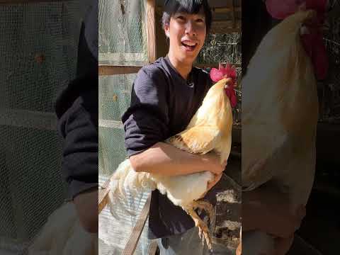 28歳、東京から山奥の一軒家へ。未経験でカレー屋を始めた男の1日に密着！ thumbnail