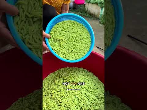 Đổ hỗn hợp xuống chậu thủng thumbnail