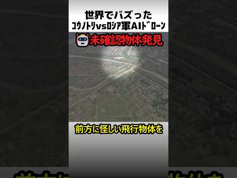 コウノトリvsロシア軍ドローン thumbnail