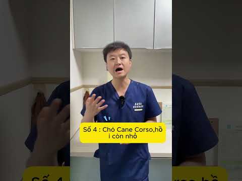Vạn vật thua chó cỏ khi còn nhỏ! #shorts thumbnail