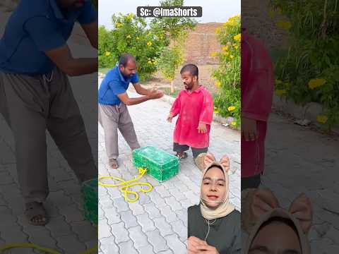 Gak Boleh Begitu PAPA ‼️ ImaShorts thumbnail