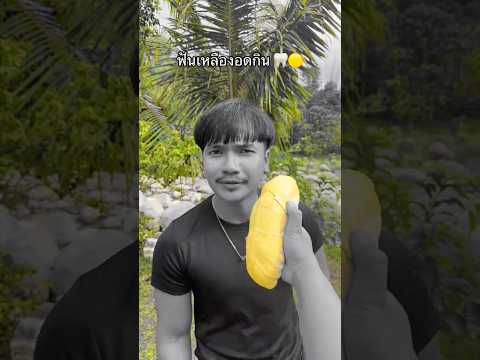 ฟันเหลืองอดกิน?? #ลองดู #เอฟเฟกต์ #yellowteethtest #ฝากติดตาม #ช่องยูทูป #พี่นนท์ #เอ็นจอยคับผม thumbnail