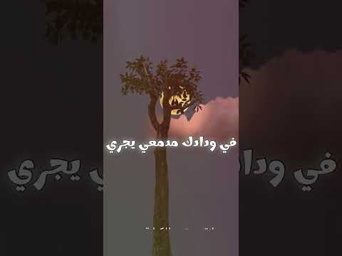 قمــره - عيضة المنهالي thumbnail