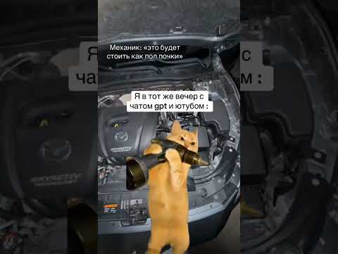 СОВРЕМЕННЫЙ МИР | TikTok: lika0940 thumbnail