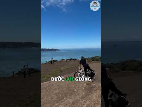 Vì sao chiếc xe vẫn lao tới, nhưng người này lại như đang đi giật lùi thumbnail