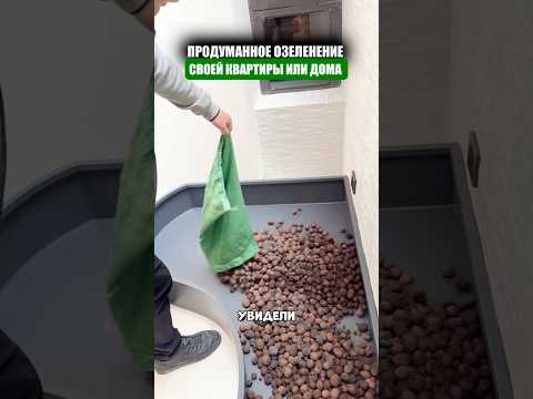 Озеленение любой квартиры и дома thumbnail