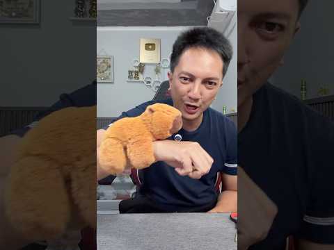 Kapibara Level 1 Sampai Level 67 thumbnail