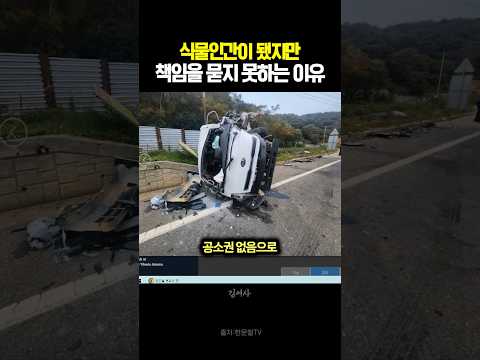 식물인간이 된 사고지만 책임을 묻지 못하는 이유 #블랙박스 #한문철tv #교통사고 thumbnail