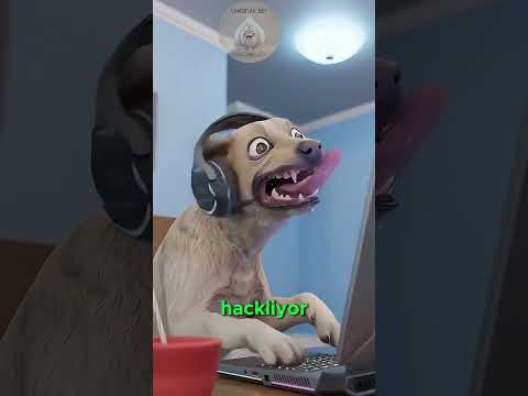 Köpekler Su İçmiyor, Suyu Yiyor! 🐶💧 thumbnail