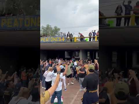 ¡Pumas sueña con la gran final! ? thumbnail