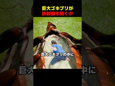 巨大ゴキブリが放射線を防ぐか thumbnail