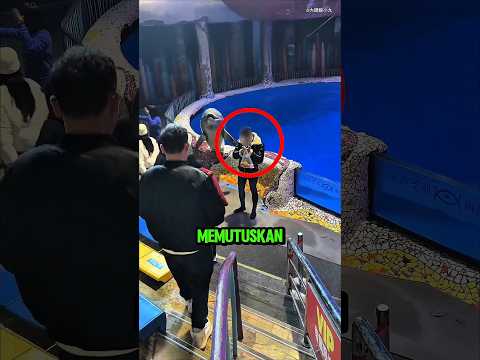 Manusia Ini Di Kasih Paham Oleh Paus! 😫 thumbnail