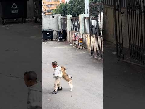 Just a little boy and his furry best friend 🥹❤️ thumbnail