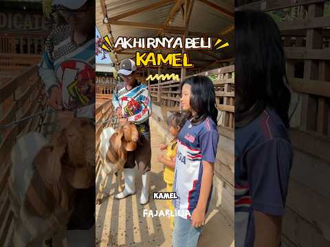 AKHIRNYA BELI KAMEL #dramangakak thumbnail