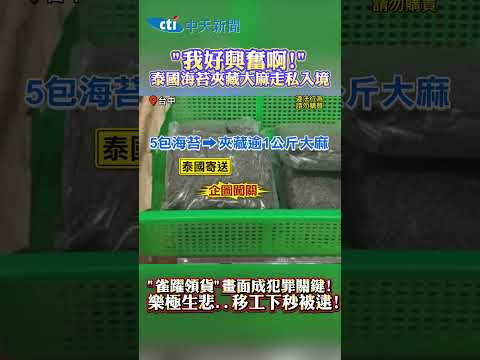 "我好興奮啊！"泰國海苔夾藏大麻走私入境　"雀躍領貨"畫面成犯罪關鍵！樂極生悲...移工下秒被逮！ #shorts thumbnail