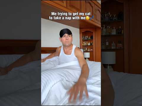 Calling My Cat Be Like🐈 #catvideos #petlover #shorts thumbnail