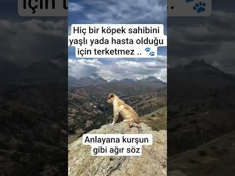 #keşfet #keşfetedüş #keşfetteyiz thumbnail