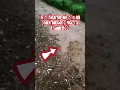 Nhìn không vớt được thumbnail