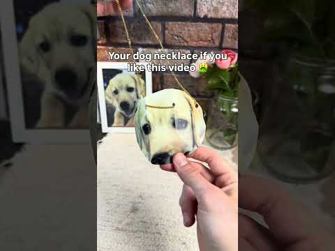 The 4th one made me cry ?❤️#dogs #dogloss #dogsoftiktok #giftsideas #pets thumbnail