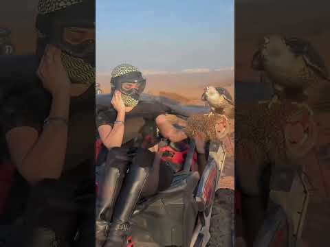 ?UAE,Dubai??  #dubaidesert#dubaisafari#shorts#uae thumbnail