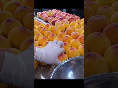 왜 저렇게까지 복숭아 속을 파낼까? 통과일 디저트 제작 과정 thumbnail