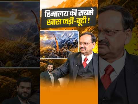 हिमालय की सबसे खास जड़ी-बूटी ! #shorts #youtubeshorts by Dr. #arvindarora thumbnail