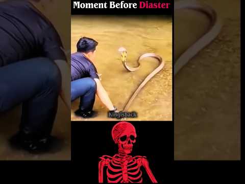 Snake controller thumbnail