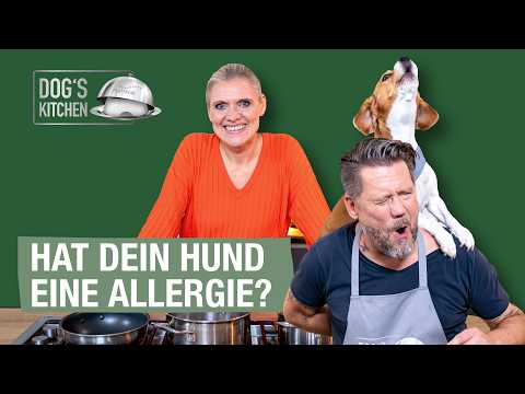 Jucken, Kratzen, Durchfall… und doch keine Futterallergie | Folge 5 | Dog's Kitchen thumbnail
