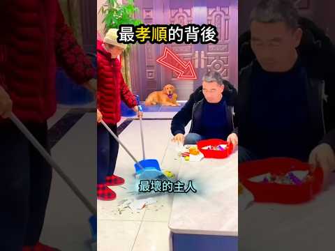 最孝順的狗狗?卻有這樣的主人? thumbnail