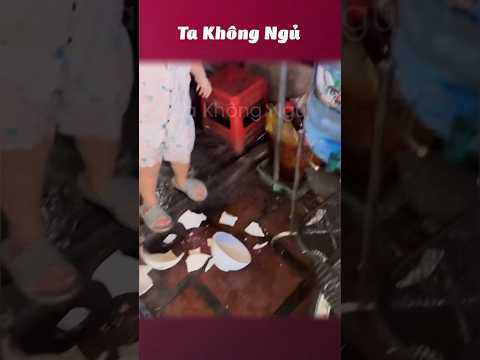 Báo thủ comeback 😂 #takhongngu thumbnail