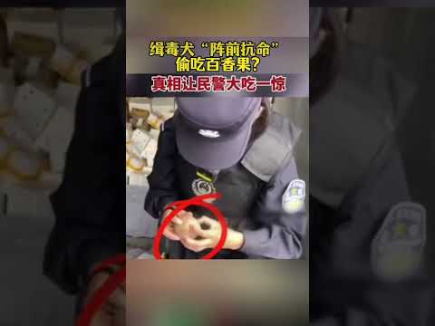 警犬，忠誠與勇敢的化身，敏銳的嗅覺無與倫比，讓我們向這些無言的英雄致以崇高的敬意。#狗是人类最忠诚的朋友 #狗狗 #故事 #热门 thumbnail