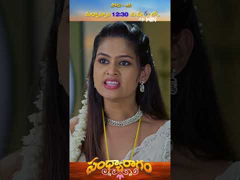 #shorts - Sandya Ragam  | Mon - Sat 12:30 PM #SandhyaRagam #teluguserial #etv thumbnail