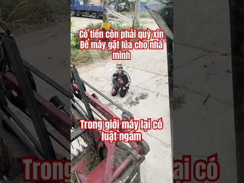 Mùa gặt máy là vua thumbnail