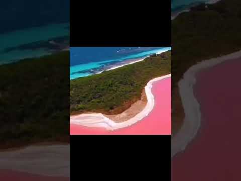 Extremely genuine 😳😳 - Travel ✈️✈️ thumbnail