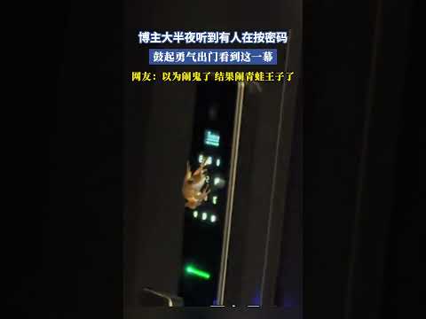 博主大半夜聽到有人在按密碼，鼓起勇氣出門看到這一幕，網友：以為鬧鬼了，結果鬧青蛙王子了 #共鳴 #大熱門 thumbnail