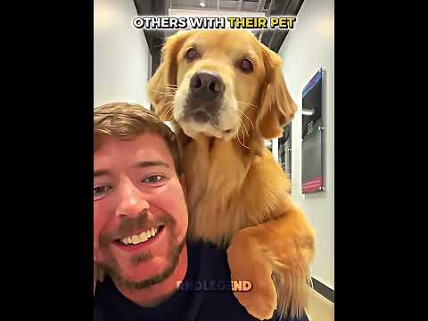 Others With Their Pet VS THIS GUY ? thumbnail