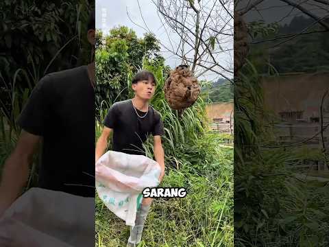 Cowo ini ada aja tingkah kocak sama temennya? thumbnail