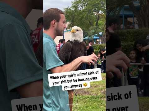 When America Chooses You 🦅🇺🇸#anmals #eagles #america #comedy #foryou thumbnail