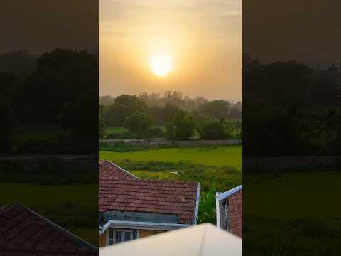Pov: you #love #goa #travel #travelgoals #serene #calm #rain #beautiful #sunset #fried #egg #food thumbnail