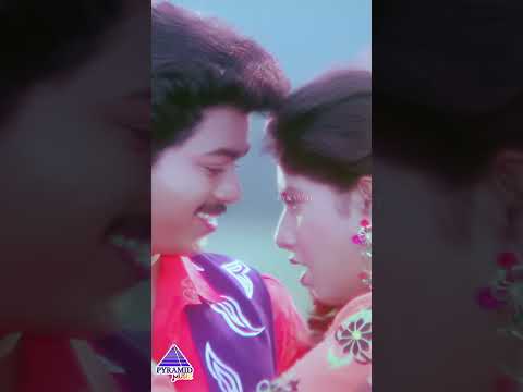 செந்தூரப்பூவே | Coimbatore Mappillaikku Song | Coimbatore Mappillai Movie | Vijay |Sanghavi |#shorts thumbnail