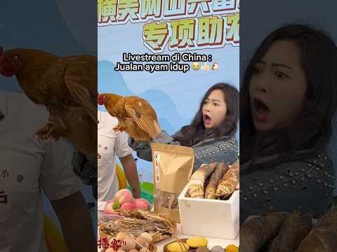GAK EKSPEK JUALAN AYAM IDUP DI LIVE 😭👍🏻 | Klara Tania #shorts thumbnail