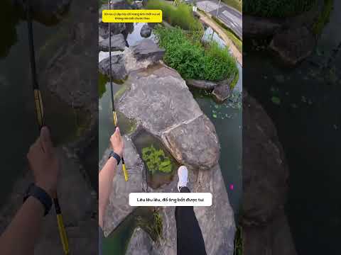 Lừa xong biến lẹ! thumbnail