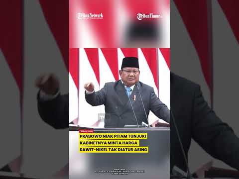 GERAMNYA PRABOWO HARGA NIKEL DAN KELAPA SAWIT DITENTUKAN ASING: TIDAK BOLEH thumbnail